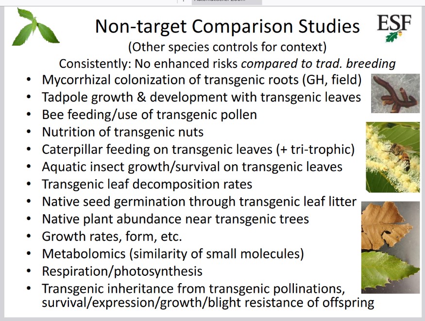 Safety tests for GMOs